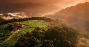 Aerial view of luxury Nyungwe Forest lodge at sunset amid misty hills, best hotel near Nyungwe for chimp trekking stays.